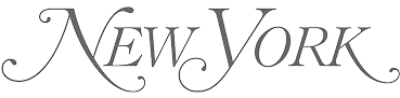 Stylized text of New York city name